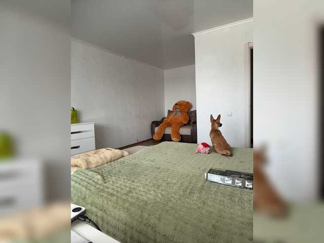 FunnyBanny0312