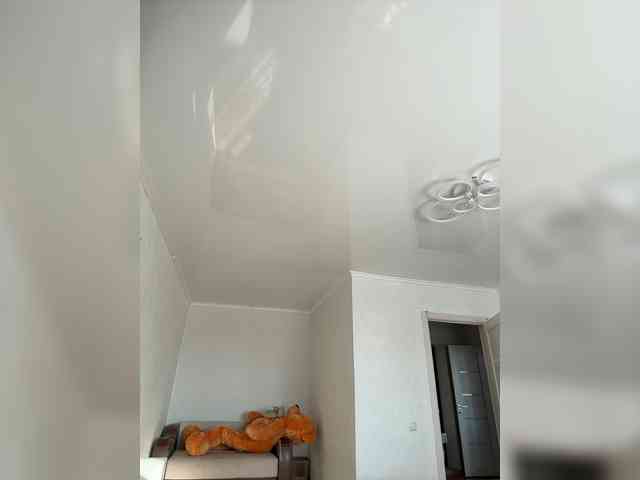 FunnyBanny0312