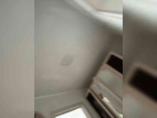 FunnyBanny0312 webcam