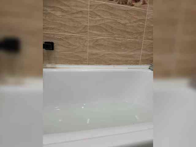 FunnyBanny0312