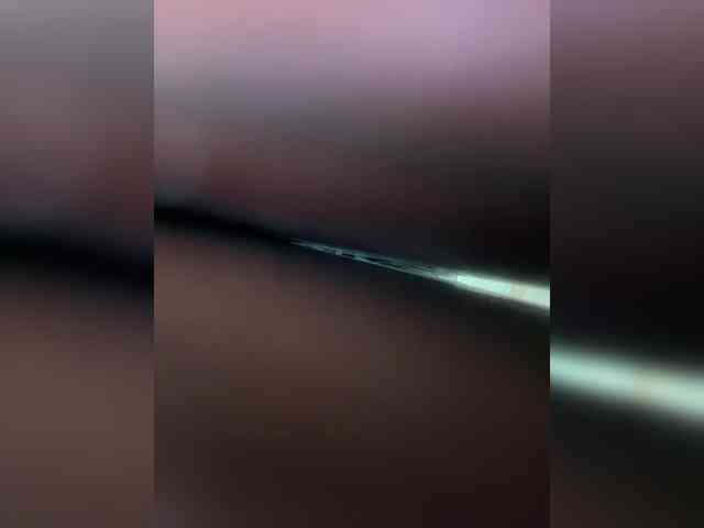 FunnyBanny0312 webcam