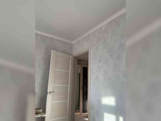 FunnyBanny0312 webcam