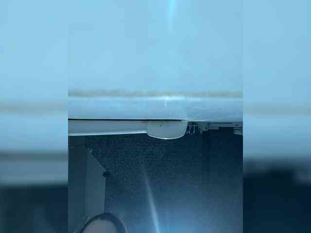 FunnyBanny0312 webcam