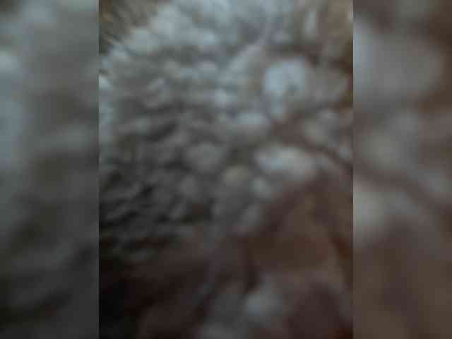 FunnyBanny0312 webcam