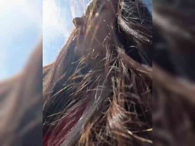 FunnyBanny0312 webcam