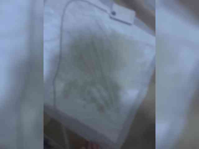 FunnyBanny0312 webcam