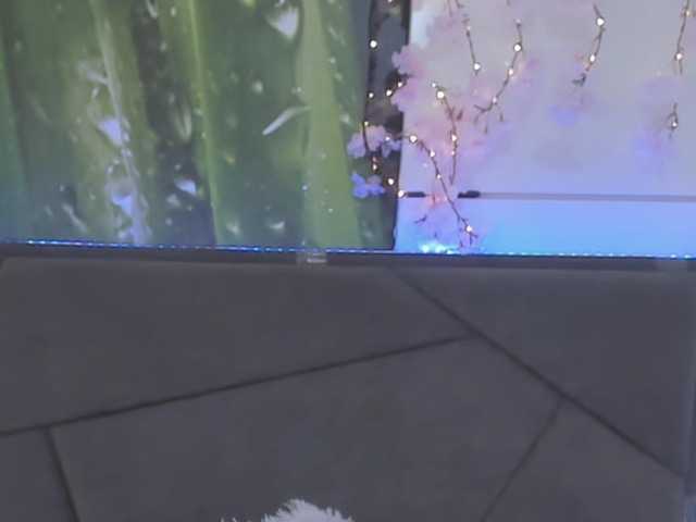 Preview of hollytaillor