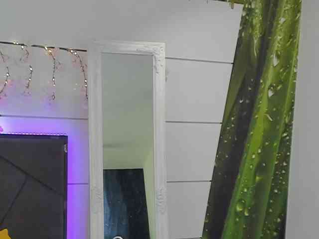 HollyTaillor webcam