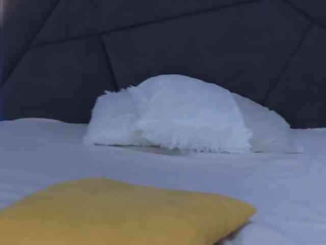 HollyTaillor webcam
