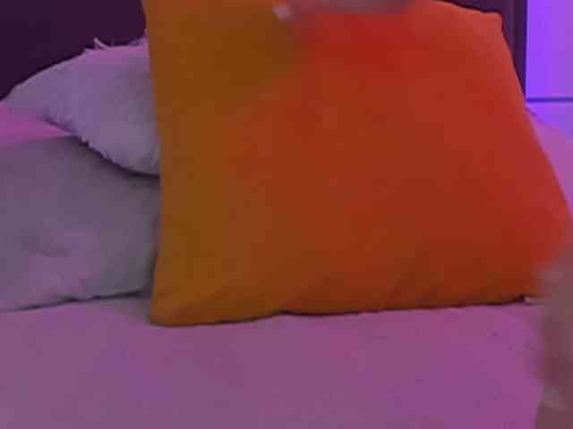 HollyTaillor webcam