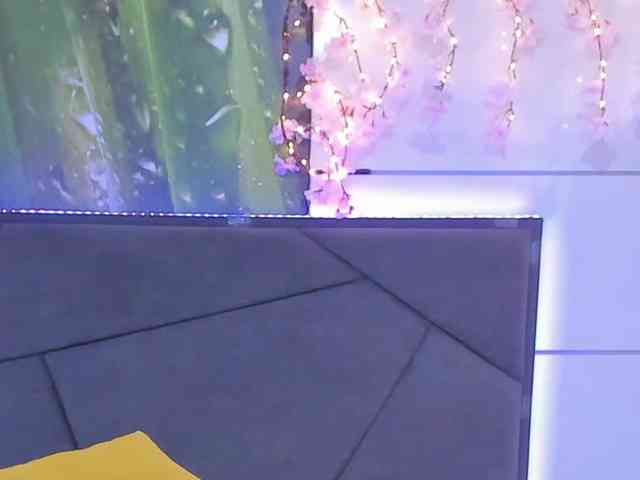 HollyTaillor webcam
