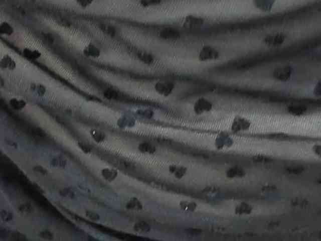 HollyTaillor webcam