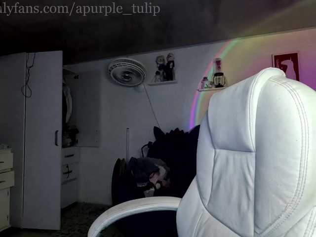 apurple-tulip
