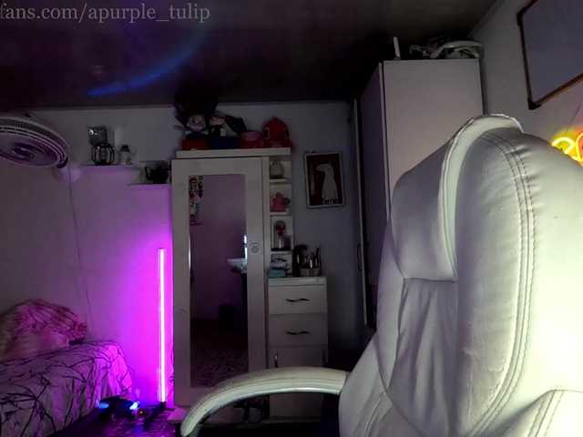 apurple-tulip