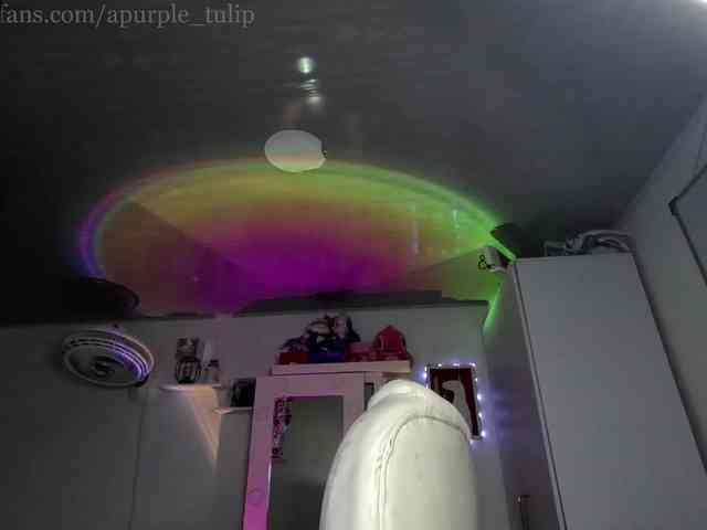 apurple-tulip webcam
