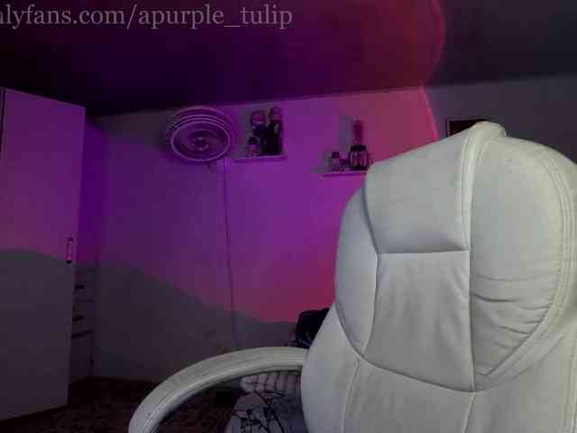 apurple-tulip