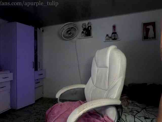 apurple-tulip webcam