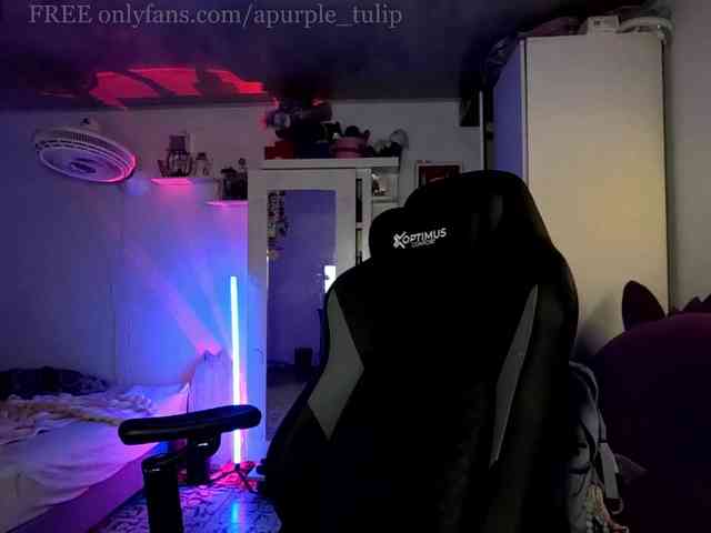 apurple-tulip webcam