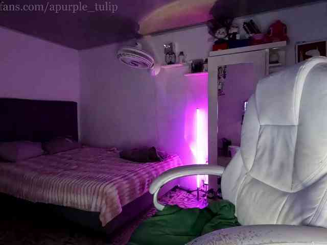 apurple-tulip webcam