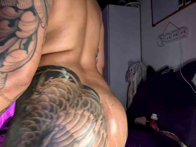 apurple-tulip webcam