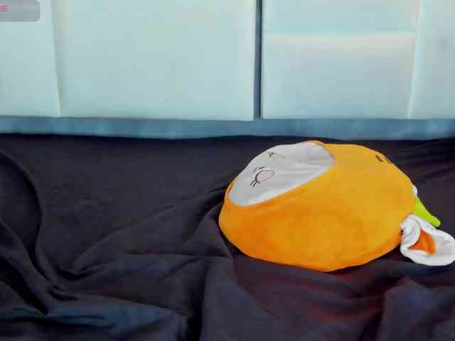 Tracy-Wright webcam