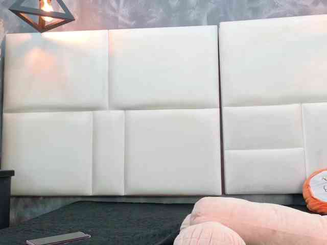 Tracy-Wright webcam