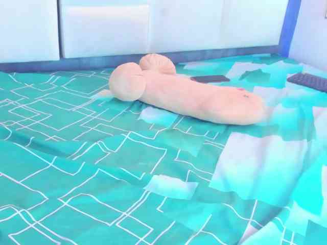 Tracy-Wright webcam