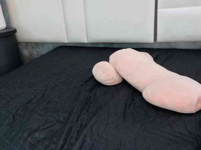 Tracy-Wright webcam