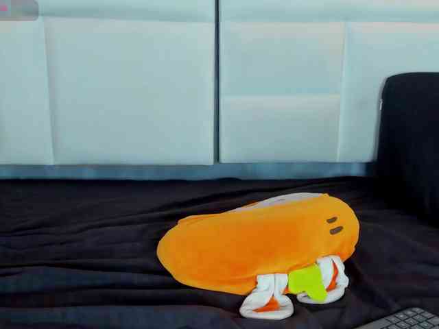 Tracy-Wright webcam