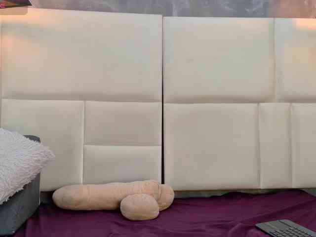 Tracy-Wright webcam