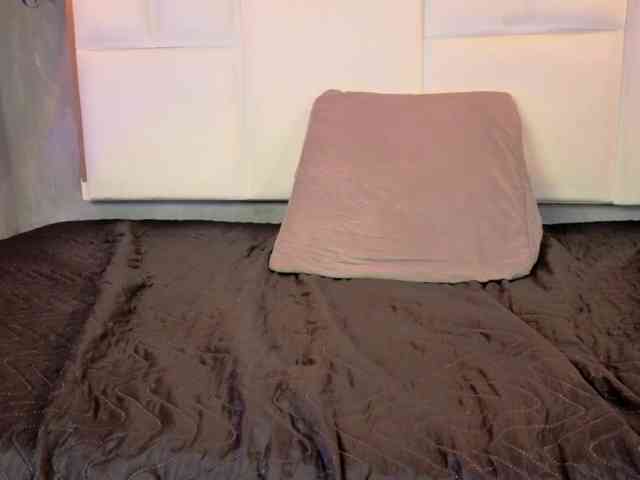 Tracy-Wright webcam