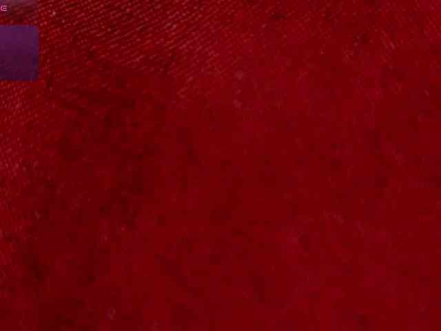 Tracy-Wright webcam