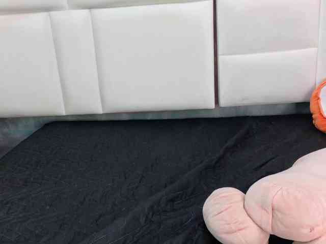 Tracy-Wright webcam