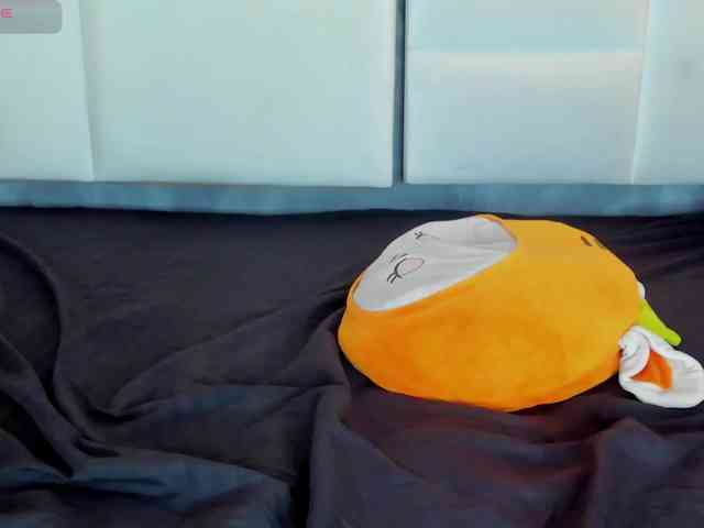 Tracy-Wright webcam