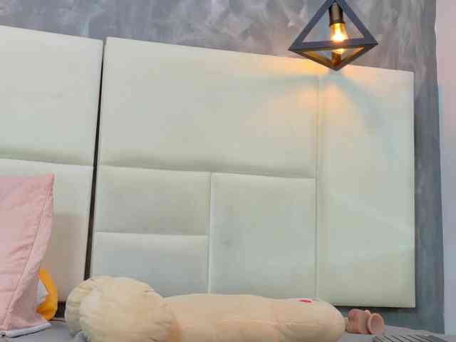 Tracy-Wright webcam