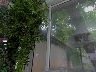LexiStorm