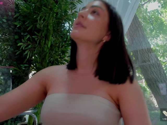 LexiStorm