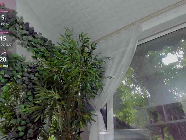LexiStorm webcam