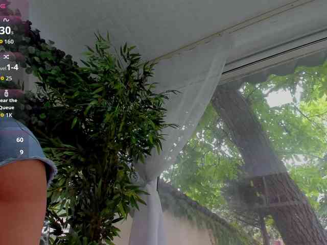 LexiStorm webcam