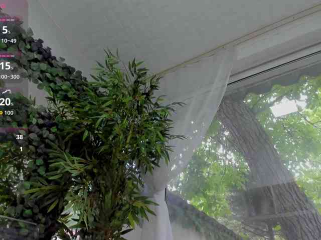 LexiStorm webcam