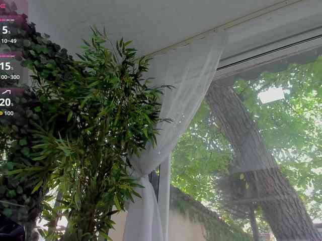 LexiStorm webcam