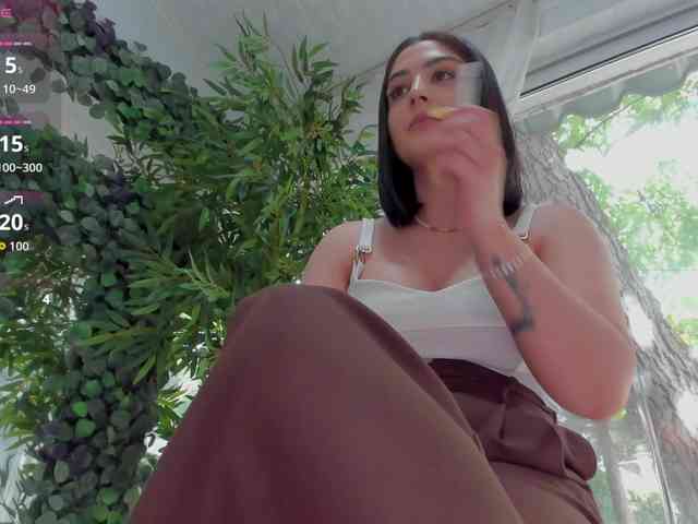 LexiStorm webcam