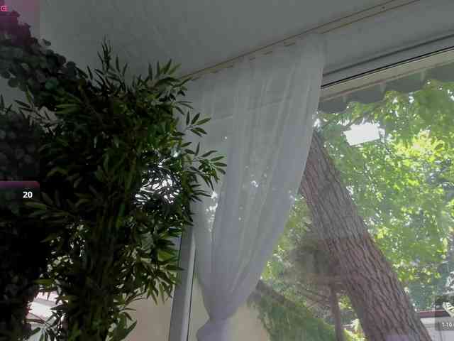 LexiStorm webcam