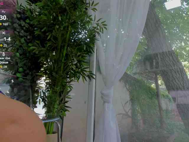 LexiStorm webcam