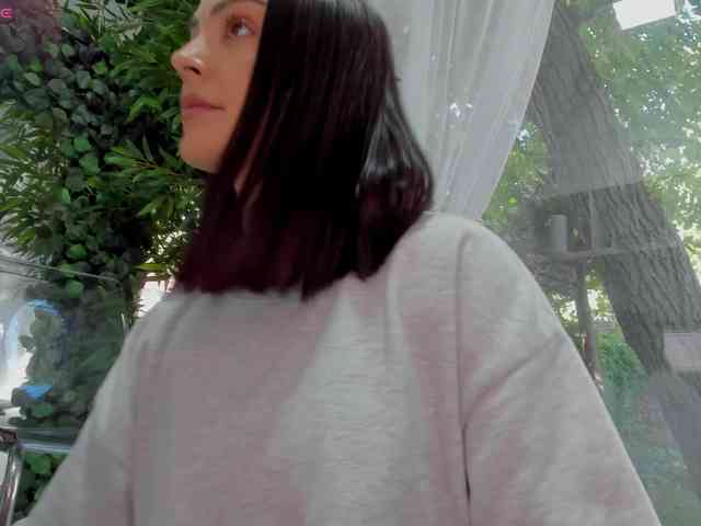 Modelo: LexiStorm