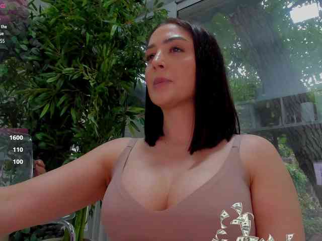 LexiStorm LexiStorm