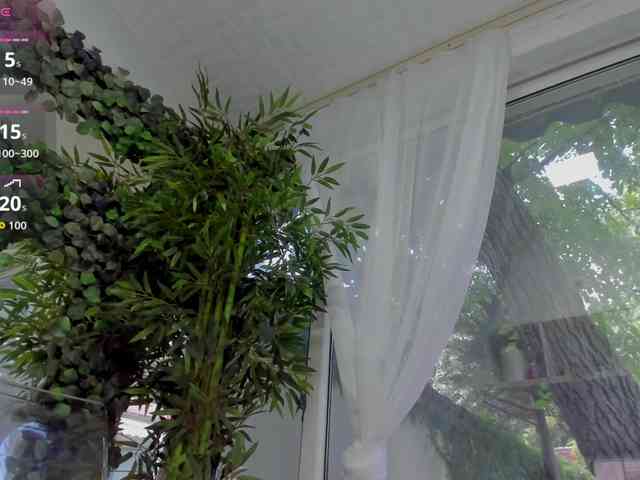 LexiStorm webcam