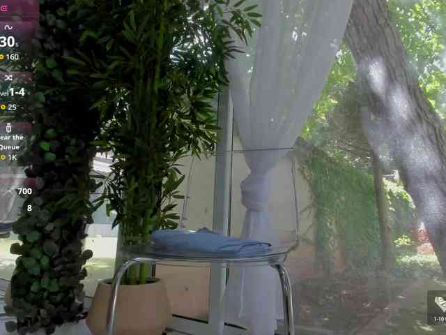 LexiStorm webcam