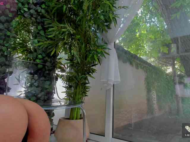 LexiStorm webcam