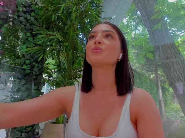 LexiStorm
